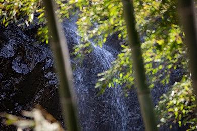 《啤酒修道院》Steam抢测开启 像素建造模拟经营